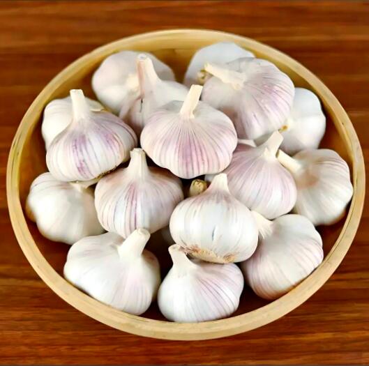 PREMIUM FOODS - FRESH GARLIC